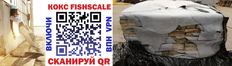 Кокаин Fish Scale  дарнет шоп  Галич 