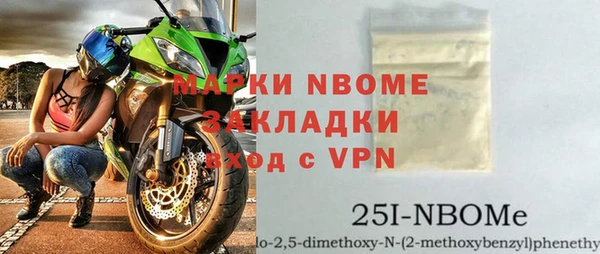 хмурый Анива