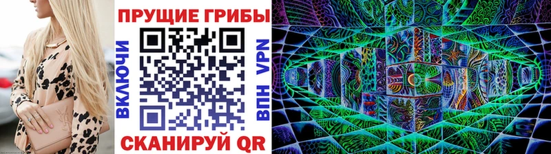 кракен как войти  хочу   Галич  Галлюциногенные грибы MAGIC MUSHROOMS 